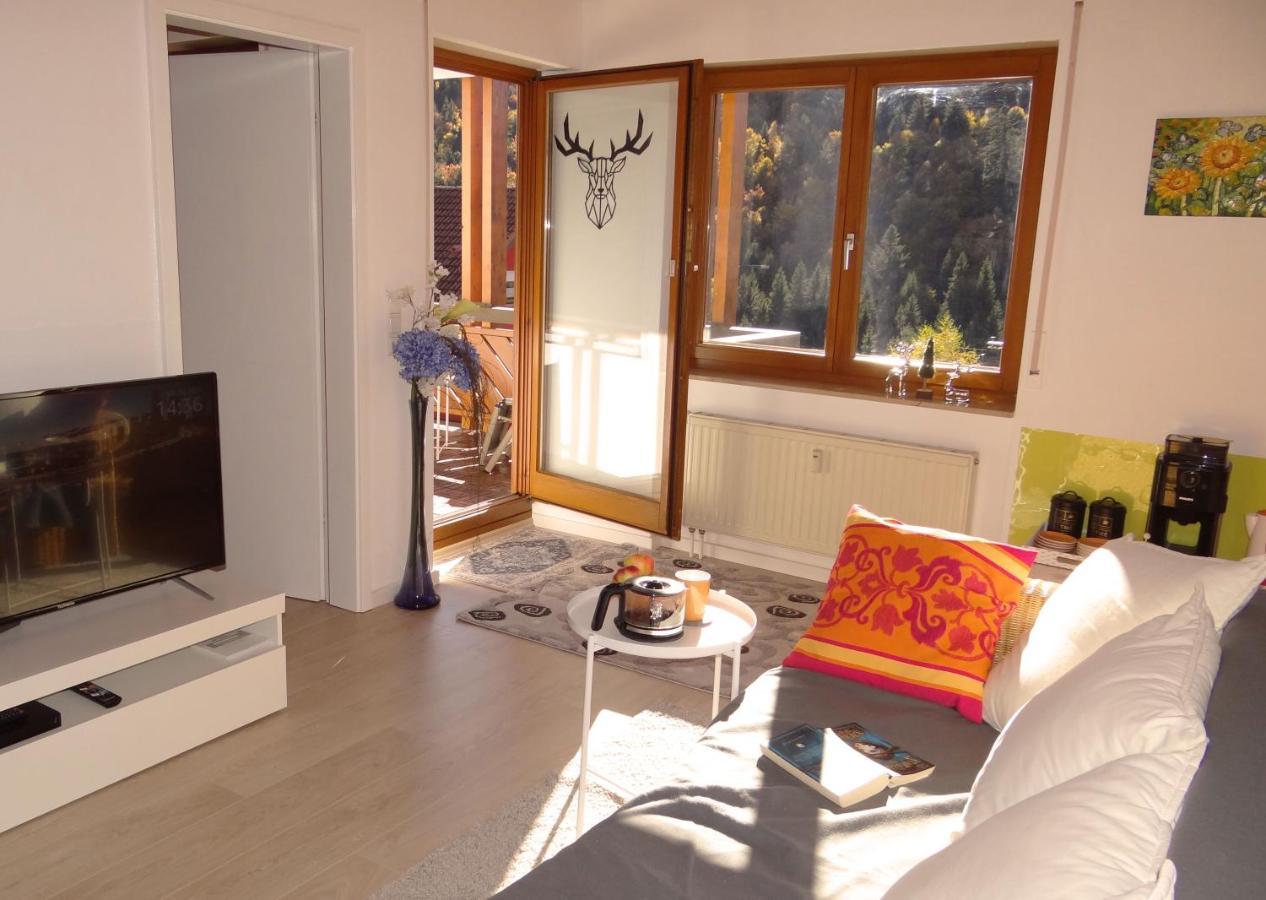 Apartments Amalia - Mit Wlan Und Sky In Traumhafter Lage تودموس الغرفة الصورة